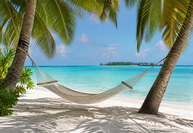 A hammock between palm trees on a white-sand beach facing a turquoise lagoon