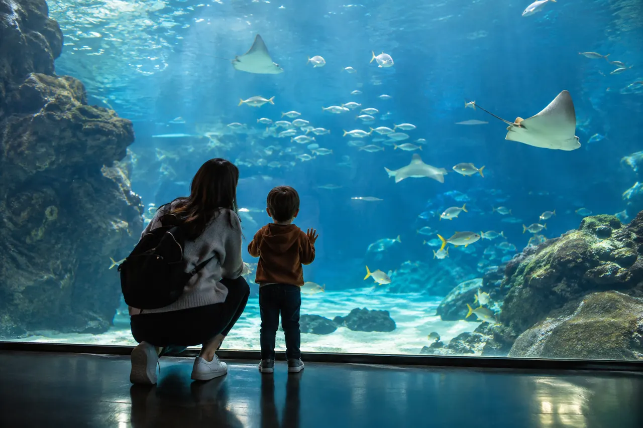 An adult and child watching fish and rays through a large aquarium window