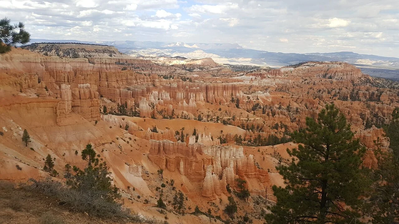 Orange hoodoos in Bryce Canyon National Park