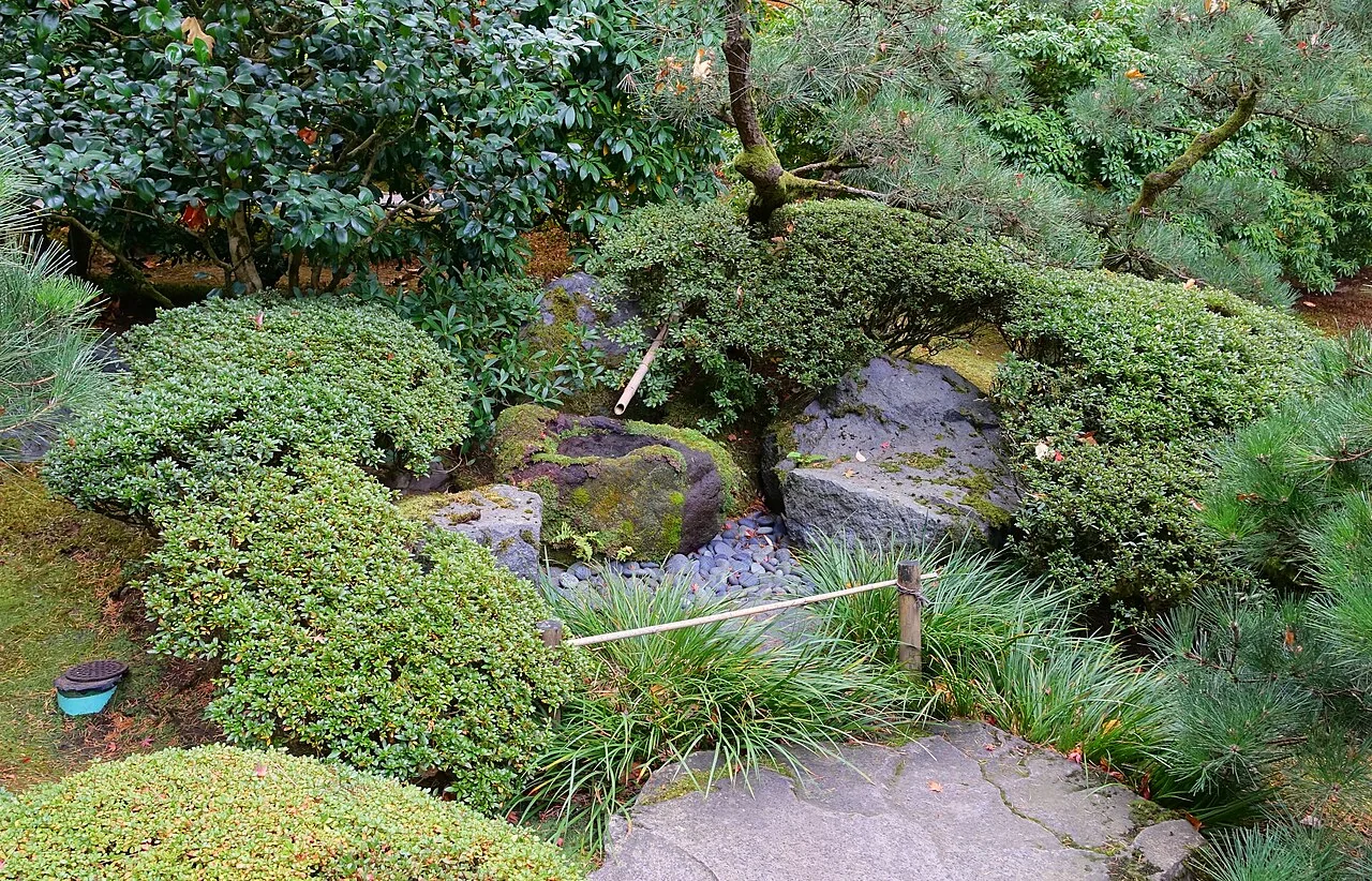 A stream and green foliage at Portland Japanese Garden
