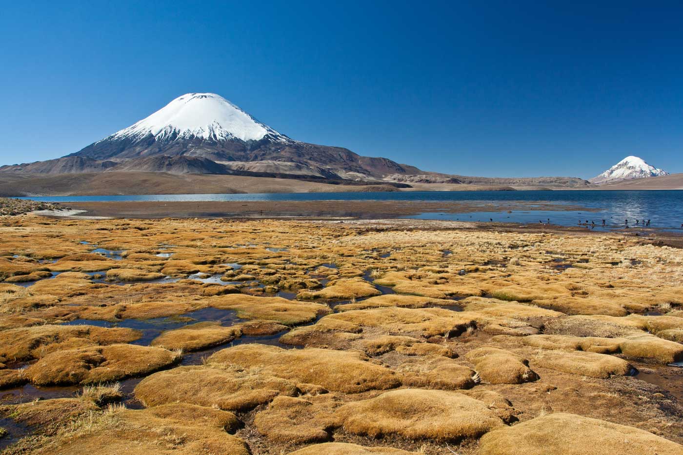 Best Places to Visit in Chile if You're up for Some Serious Natural Beauty