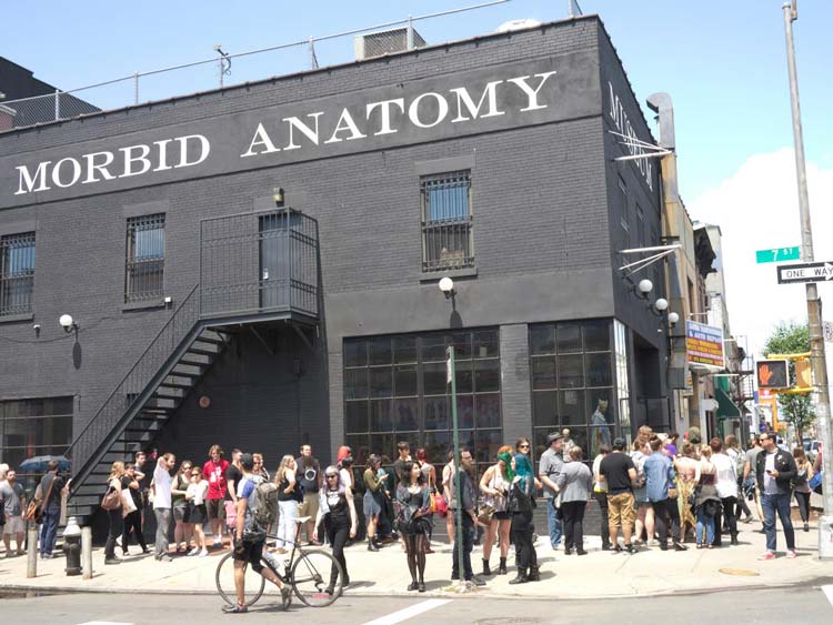 Morbid Anatomy Museum, Brooklyn, New York City