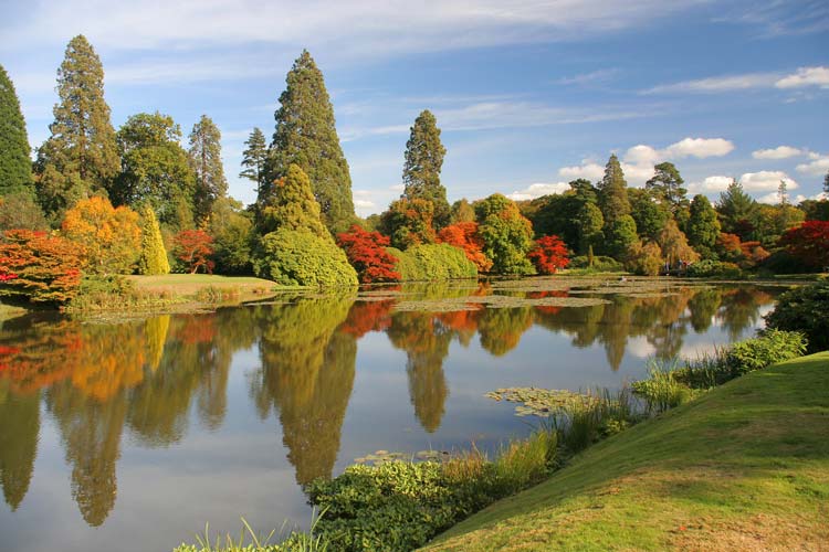 Autumn Lake at Sheffield Park, Sussex, England