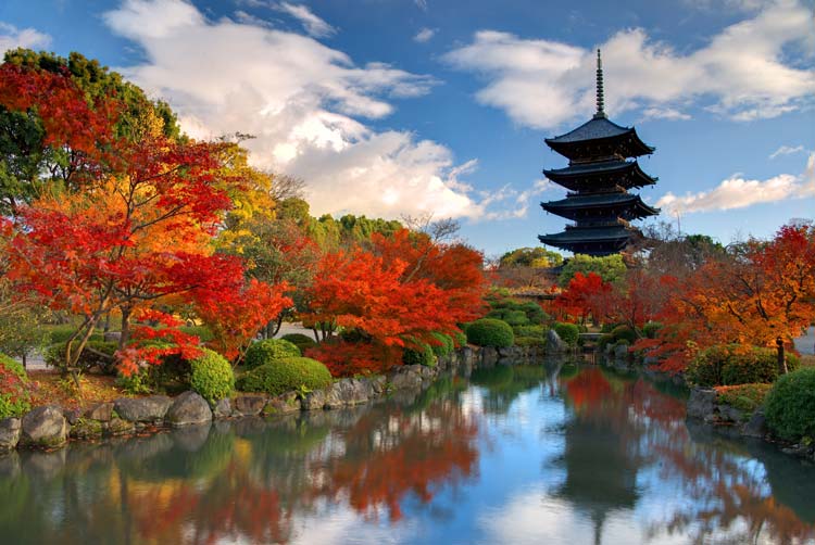 Autumn colors in Japan