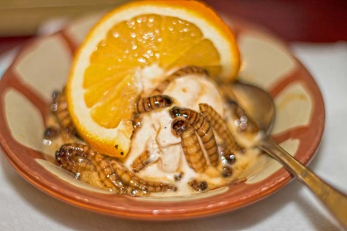 check-out-the-weirdest-desserts-in-the-world