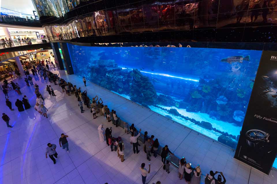 aquarium Dubai shopping center