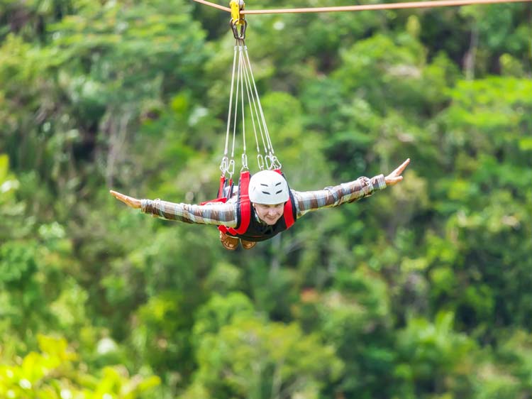 Zip lining Through the Forest