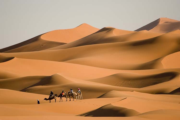 Merzouga dunes, Morocco
