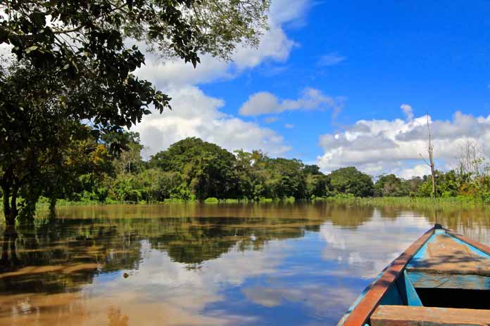Ecuadorean Amazon