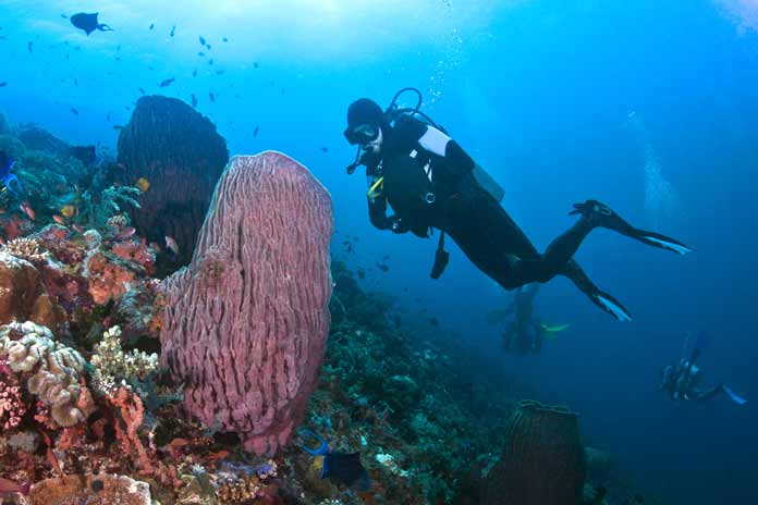 philippines scuba diving