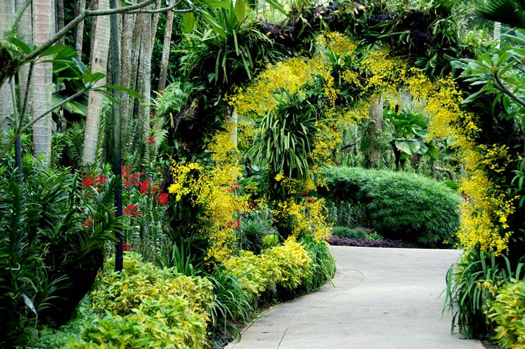 Singapore-Botanic-Gardens