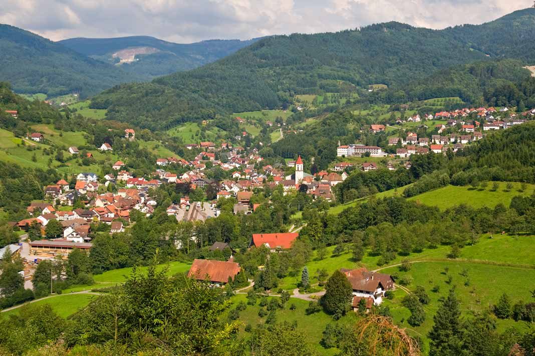 facts about the Black Forest